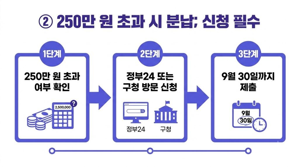 250만원 넘으면 분할납부 가능